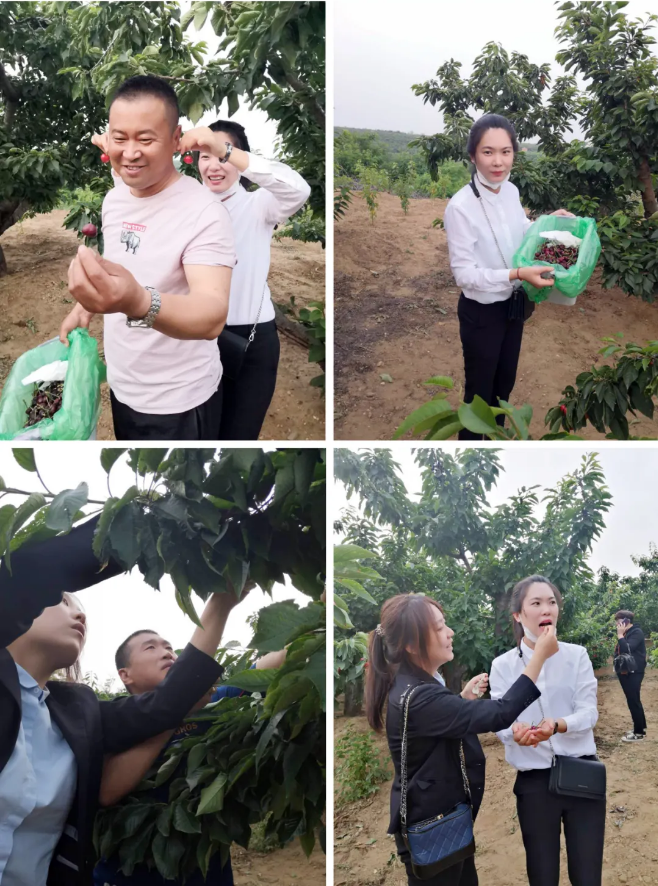 尊龙时凯·(中国区)人生就是拼搏!
